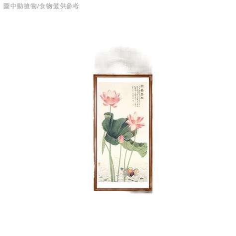 荷花圖風水|客廳掛荷花風水好嗎，家裡養荷花有忌諱嗎 (不宜放財位/廚房)